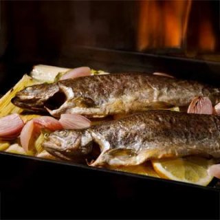 Forelle mit Lauchgemüse aus dem Ofen