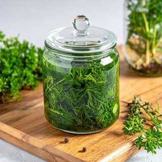 Ganze Kräuter in Salzlake