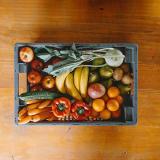 Büro- / Snackkiste L