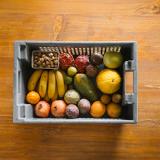 Exoten / Südfrüchte XS