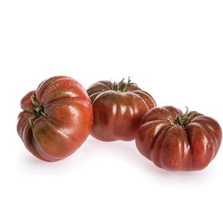 Fleischtomate dunkel