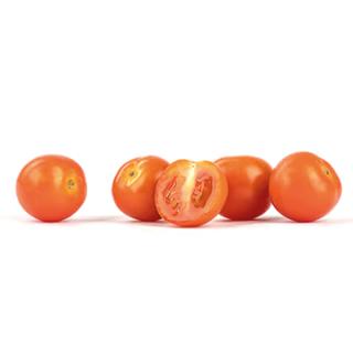 Cherrytomaten rot rund/oval