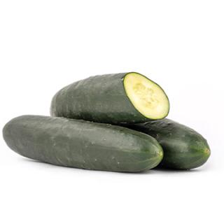 Landgurke (Schmorgurke)