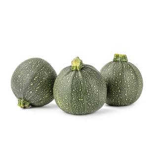 Zucchini rund