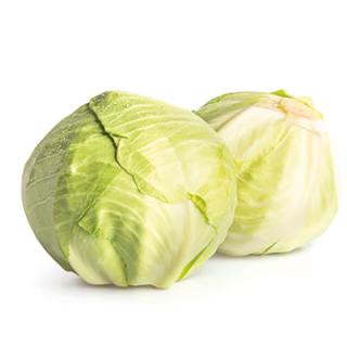 Weißkohl, groß 2-3 kg (für Sauerkraut und Kohlrouladen)