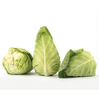 Spitzkohl (Stück) ca. 350-500g
