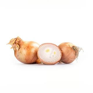 Zwiebel "Rosé de Bretagne"