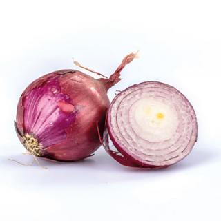 Zwiebel rot