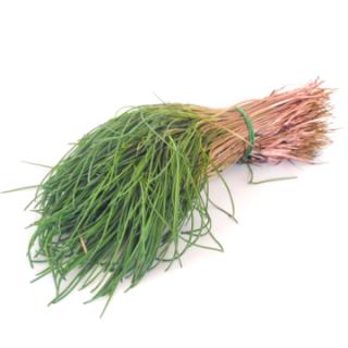 Mönchsbart (Roscano Agretto)