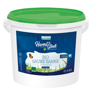 Saure Sahne 10% (Großgebinde)