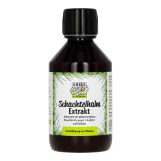 Schachtelhalm Extrakt Compositum