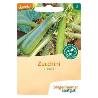 Saat Zucchini "Zuboda"