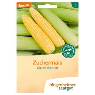 Saat Zuckermais "Golden Bantam"