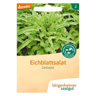Saat Eichblattsalat "Cerbiatta"