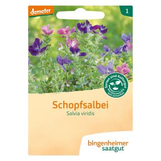 Saat Schopfsalbei