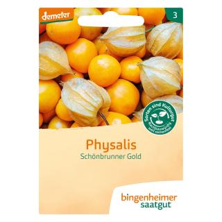 Saat Physalis "Schönbrunner Gold"