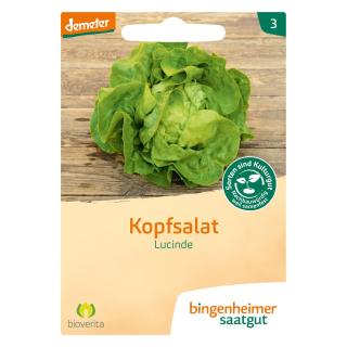 Saat Kopfsalat "Lucinde"