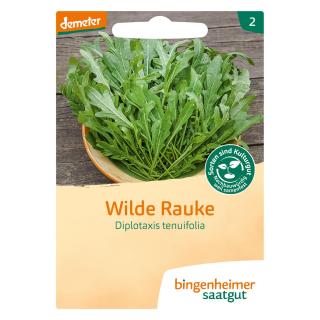 Saat Rucola "Wilde Rauke"