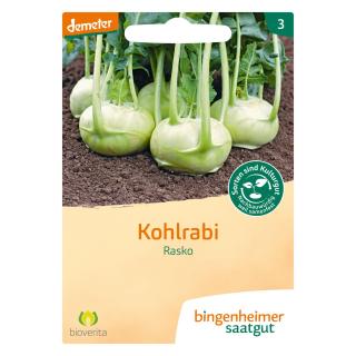 Saat Kohlrabi "Rasko"