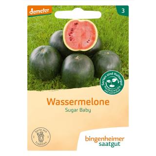 Saat Wassermelone "Sugar Baby"