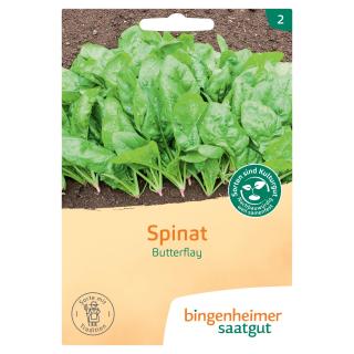 Saat Spinat "Butterflay"