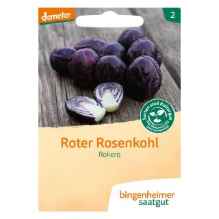 Saat Rosenkohl rot "Rokero"