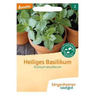 Saat Heiliges Basilikum