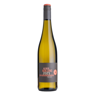 Grauburgunder trocken Weißwein 2024 (DE)