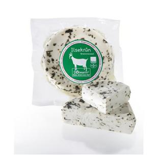 Ilsekrün Brennessel