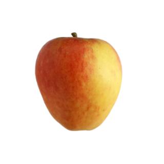 Apfel "Prinz Albrecht von Preußen"