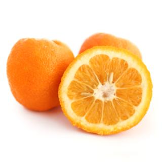 Bitterorangen (Pomeranzen)