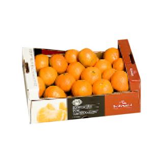 Clementine 1,5kg-Kistchen