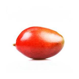 Mango "Tommy Atkins"