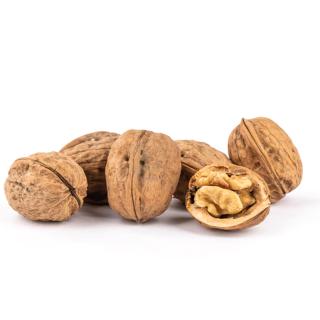 Walnüsse