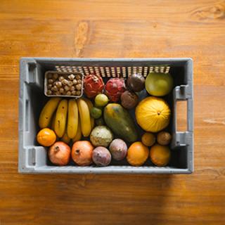 Exoten / Südfrüchte XS