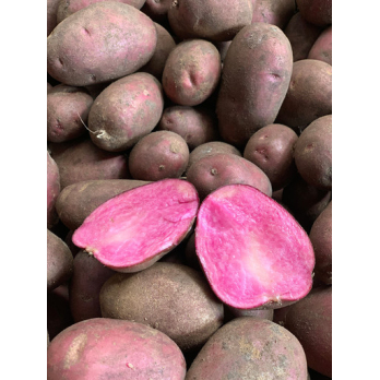 Kartoffeln "Heiderot"