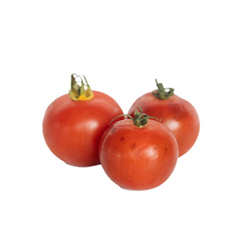 Tomaten "Baylee/Flavence"