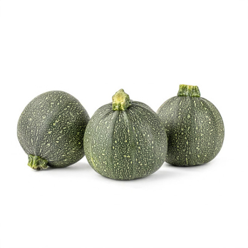 Zucchini rund