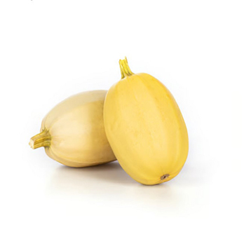 Spaghettikürbis Stripetti