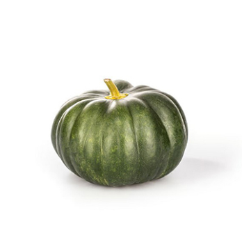 Muscat-Kürbis