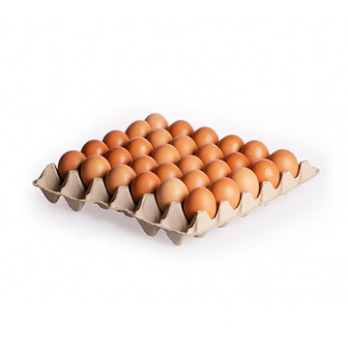 Eier M/L lose aus ökol. Erzeugung