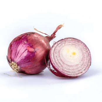 Zwiebel rot