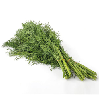 Dill