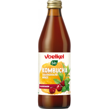 Kombucha Sauerkirsche Minze