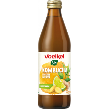 Kombucha Limette Ingwer