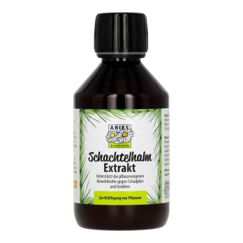 Schachtelhalm Extrakt Compositum