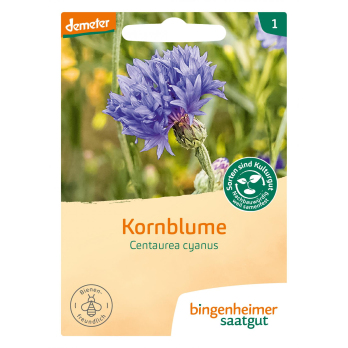 Saat Kornblume