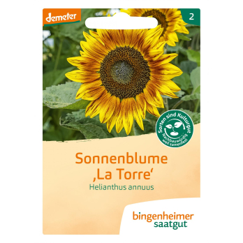 Saat Sonnenblume "La Torre"
