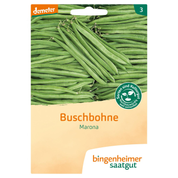 Saat Buschbohne "Marona"