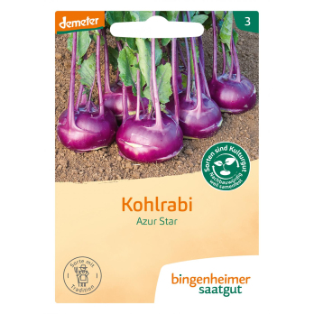 Saat Kohlrabi "Azur Star"